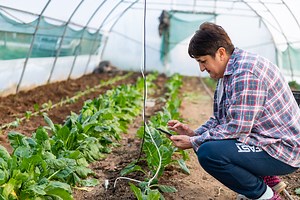 Digital Villages Initiative in Europe and Central Asia