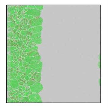 Directional Solidification of Al-Cu Alloys