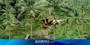 Rekomendasi 6 Tempat Agrowisata di Bali