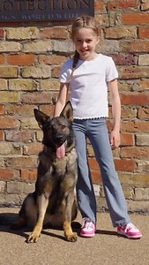 344 reactions · 11 shares | Meet the Ultimate Family Protection Dog!...