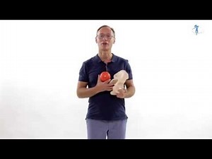 Eric Franklin teaching Franklin Method in Brazil - January 2014