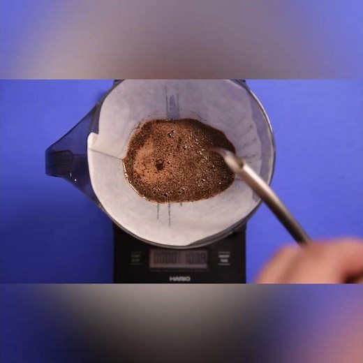 Clever Dripper Recipe