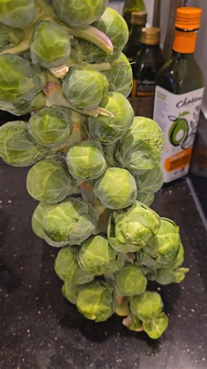 I wonder if Jack's Beanstalk was really a Brussel Sprout stalk. Would certainly make climbing easier  | Rosie A Bailey | Facebook