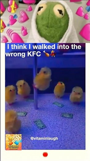The FUNNIEST Chicken Memes That Will Make You LOL Every Time