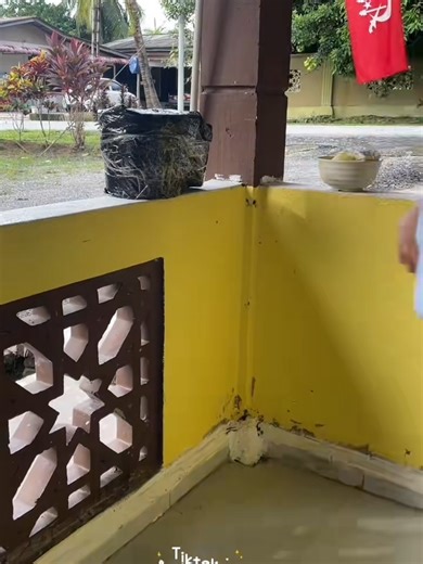 ⚡ Diskaun sehingga 89% - Hanya tinggal 29 tempahan 👉👉👉