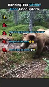 Ranking Crazy Grizzly Bear Encounters🐻😳