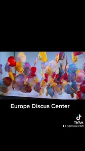 42 reactions · 3 comments | EuropaDiscusCenter on Reels | Facebook