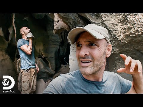 Noche tormentosa en la selva inhóspita | Ed Stafford al Extremo | Discovery En Español