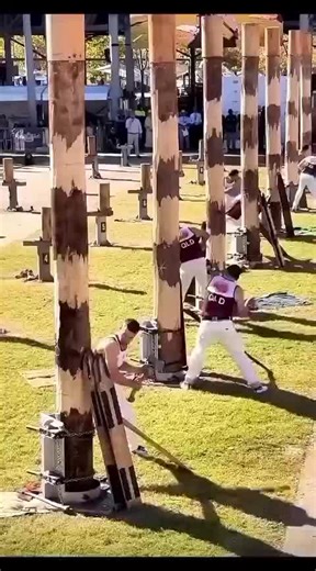 Exploring the Magic of Balli Bot Mogis