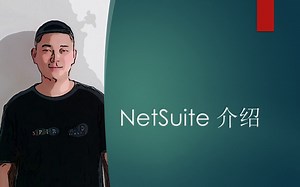 NETSUITE 动画版本介绍
