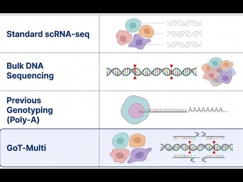 Unmasking Cancer s Complexity - GoT-Multi, a high-throughput single-cell multi-omics technology