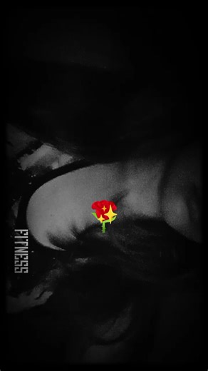 ❄️ßℓå¢k ωøℓƒ 𝓴𝓲𝓵𝓵𝓮𝓻🐺🖤 (@stickysepoppie)’s videos with sonido original - 🪼🌊🫐💙