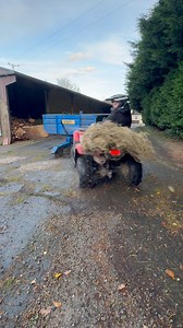 596K views · 9.8K reactions | Anyone ever get lost when feeding the sheep?  #atv #quad #FourWheeler | Matthew Cathcart | Facebook