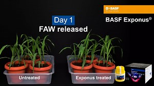 6.1K views · 80 reactions | Watch this video to see how BASF Exponus®...