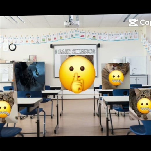 #funy #cat guys command for a chanes to be in a vid