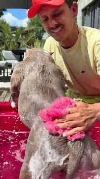 Banho de Banheira com a Marê 🐾🤩 Na sua banheira de barco 🐾