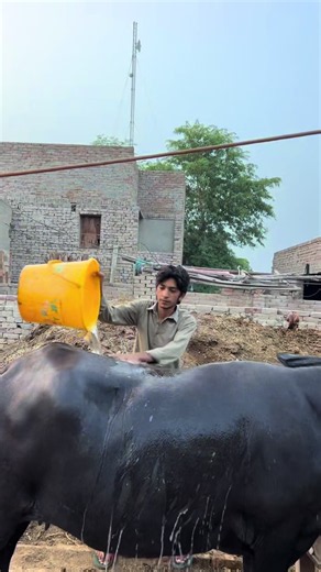 ok hogya 😄😂 #funny #foryou #funnyvideo #viralvideo #mubasherstar