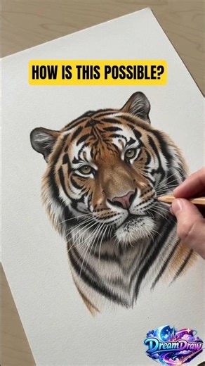#tiger #drawing #artshorts #realisticdrawing #shorts #art #digitalart