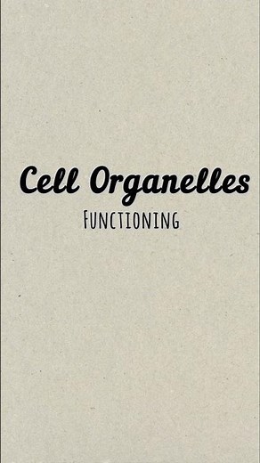 Cell Organelles functioning ✨#handwrittennotes #biology #subscribe #class10notes #sciencenotes