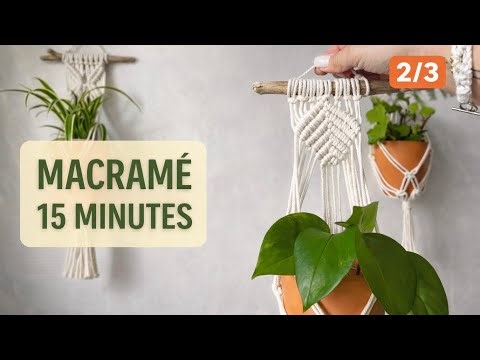 SUSPENSION MACRAMÉ PLANTE 🌿 TUTORIEL DÉBUTANT AVEC BOIS FLOTTÉ