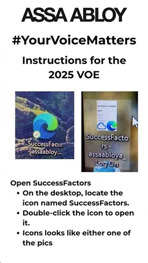 Instructions for the 2025 VOE