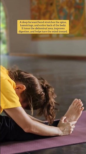 Morning asana class, every day from 8:00 to 10:00 am.