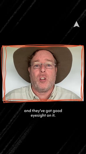 Have aliens visited Australia? 🛸👽 Welcome to Australian Geographic's Great Aussie Mysteries with Tim the Yowie Man, a new series where we delve into the most puzzling and strange Australian mysteries. This episode's feature is the Westall UFO incident that occurred on 6 April 1966 in Melbourne. More than 200 students and teachers from Westall High School reported seeing an unidentified flying object in the air, drawing the attention of the Australian military and newspapers alike. What do you 