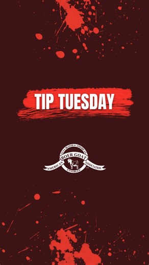 Percentage Boers play an important role in the Boer industry. By blending Boer genetics with other breeds, they carry forward Boer traits like growth, muscling, and meat quality, while also contributing qualities such as adaptability and efficiency. Many breeders find percentages valuable for building herds, improving sustainability, and meeting diverse market goals, while taking advantage of hybrid vigor. Whether purebred, fullblood, or percentage, Boer genetics offer versatile options to fit a