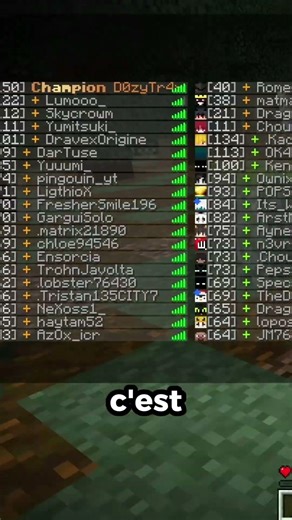Why does everyone on this Minecraft server live in France?