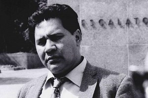 The Rise and Fall of the Brown Buffalo