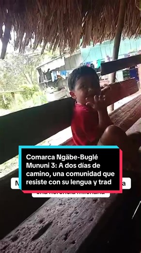 Desde la comarca Ngäbe-Buglé, en la región de Ñökribo, distrito de Kankintú, específicamente en la comunidad de Mununi 3, se evidencia una realidad marcada por el aislamiento: para llegar al lugar se requiere aproximadamente dos días y medio de caminata. A pesar de las dificultades, los niños de esta comunidad conservan con orgullo su lengua materna, hablándola con fluidez. Se trata de un idioma ancestral, cargado de significado, donde cada palabra refleja la conexión con sus raíces y su cosmovi