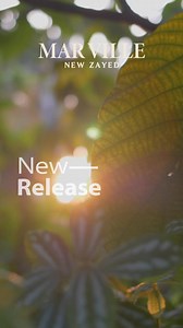 432 reactions · 52 shares | Where It All Began! Mar Ville, New Zayed by AlMarasem Development. New Types New Releases New Payment Plans Book Your Unit Now... Contact us on 16090 Tax Registration Number: 200-133-713 | AlMarasem Development | Facebook