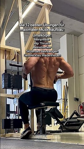 12 Übungen reichen, um deinen gesamten Körper optimal aufzubauen