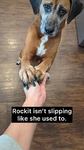 184K views · 2.1K reactions | Dogs use their toenails for traction....
