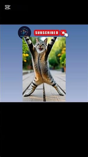 cat ai dance short #Make me sweat #ai #cat #aishort #ai viral short