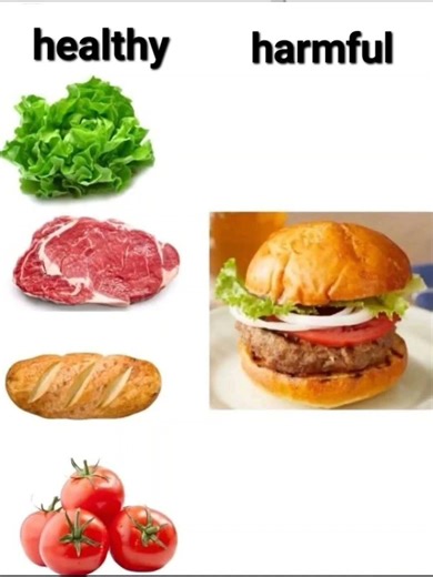 #mem #cat #funny #memesdaily #memes #kitten #mems #cutecat #music #cute