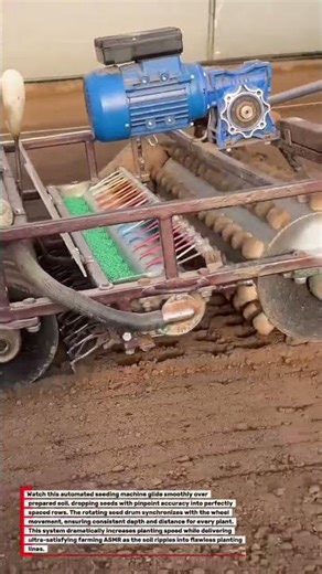 This Machine Plants Hundreds of Seeds in Perfect Lines in Seconds!! #FarmingTech #OddlySatisfying