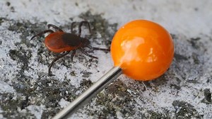 9K views · 144 reactions | Through most seasons of the year, visitors...