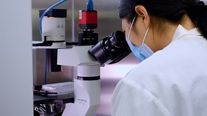 An Efficient Method for Directed Hepatocyte-Like Cell Induction from Human Embryonic Stem Cells