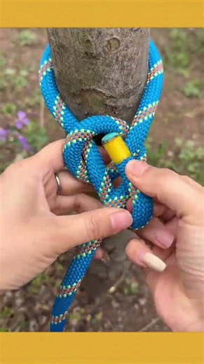 Easy universal knot technique! #knotskills #ropework #DIY #lifehacks