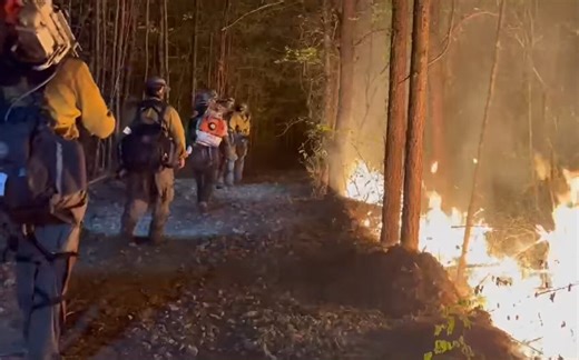 Crews battling to contain 650-acre wildfire in Daniel Boone National Forest