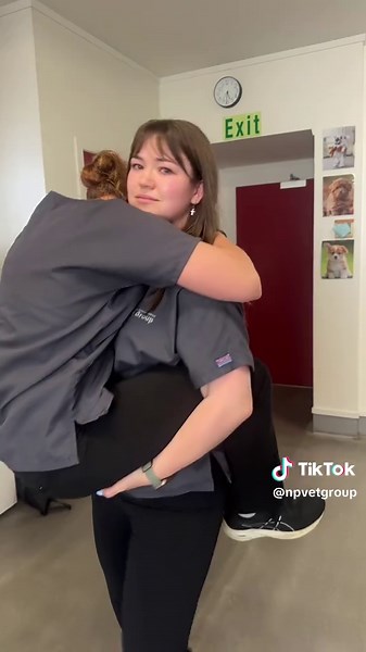 Caring for Vet Nurses Amid Exhaustion