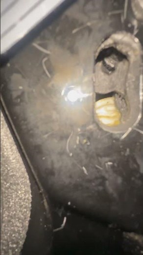 E90 Door Lock Actuator won’t open