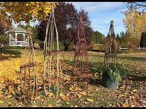 Natural Plant Supports: Everyone Can Grow A Garden (2018) #6