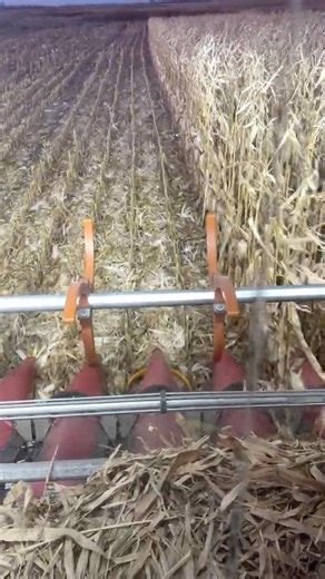 Reichhardt TAC Row Guidance