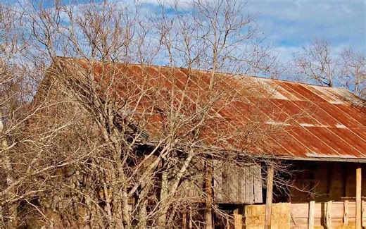 罗孝英Lucia光体扩展训练营光體换展训续管