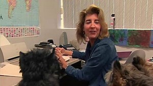 Watch Breed All About It Season 6 Episode 8 - Bouvier des Flandres