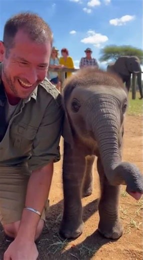 The Face Sneeze / Hắt Hơi Vào Mặt