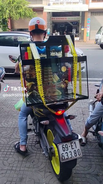 Cảm Ơn 2 E Trai Dễ Thương Dạ ủng hộ A. 600X400X400 full về Đồng Phú #hocadep #cacachthanhhoa #cacanhdongxoai #cacanhbp #hocagiare