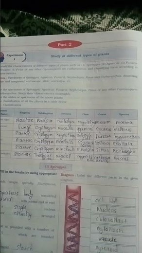 9th class science practical book part 2